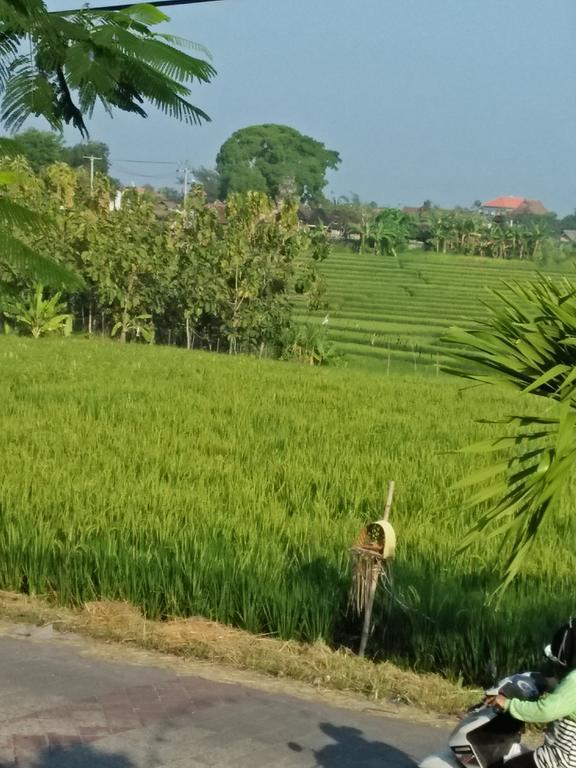 The Wina Guest House 2 Canggu Exterior foto